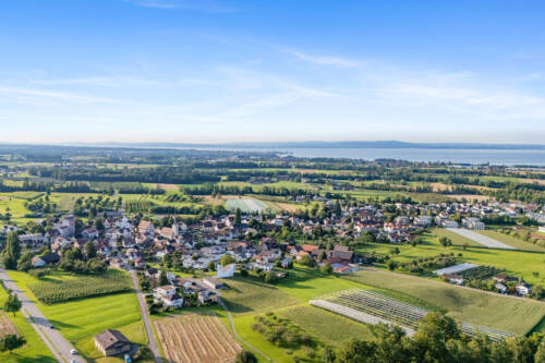 Freidorf Butler14