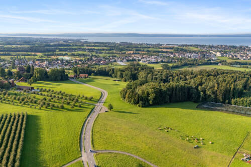 Freidorf Butler17